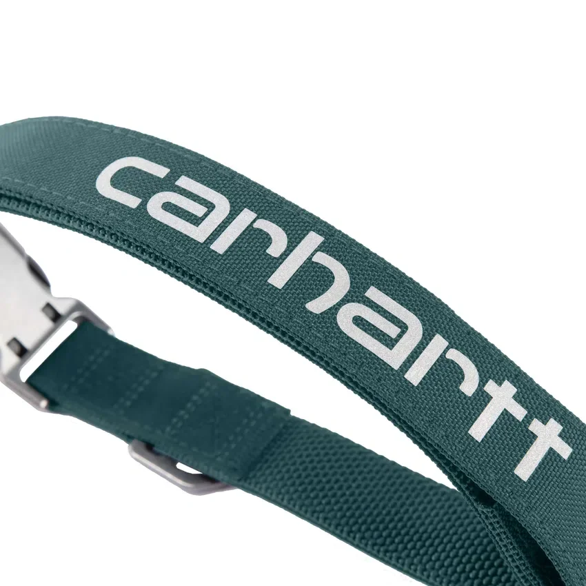 Field Dog Collar