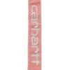 Field Dog Leash