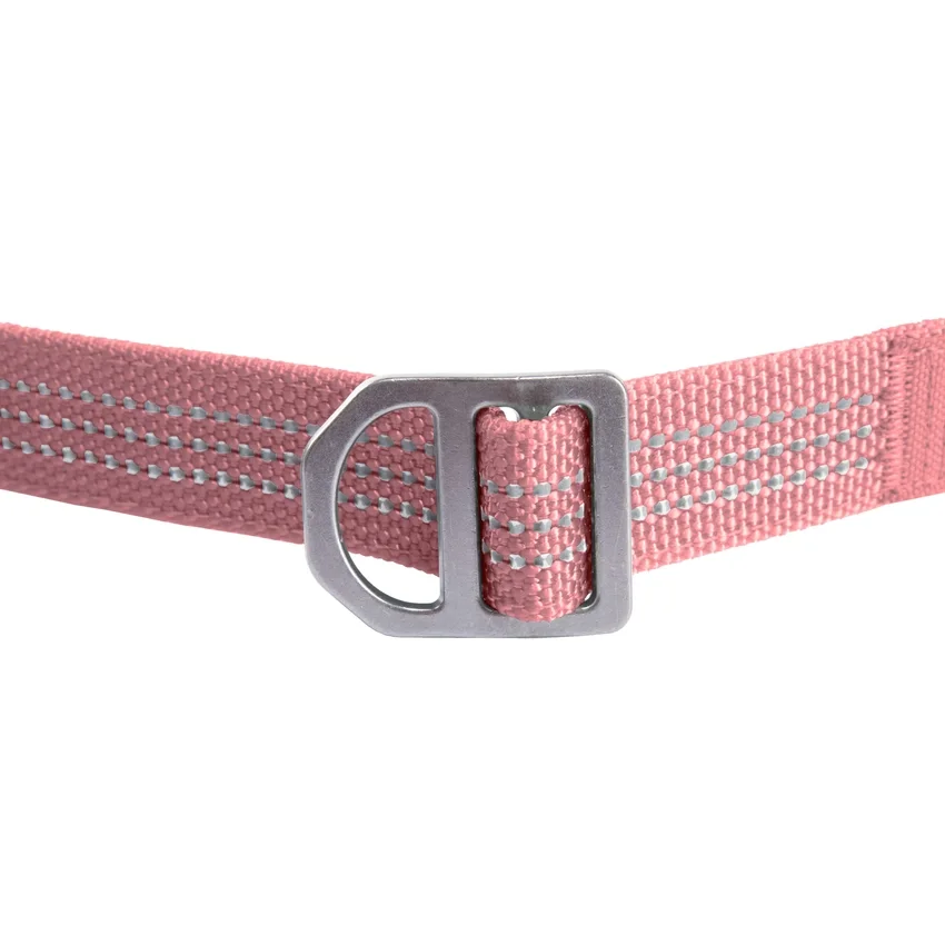 Field Dog Leash