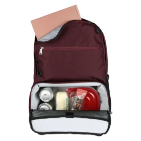 Insulated Two Compartment Cooler Backpack