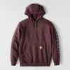 Men's Loose Fit Midweight Logo Graphic Hoodie - Rain Defender Hoodies