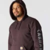 Men's Loose Fit Midweight Logo Graphic Hoodie - Rain Defender Hoodies