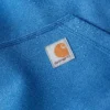 Men's Paxton Water Repellent Heavyweight Hoodie - Carhartt Rain Defender Hoodies