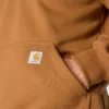 Men's Paxton Water Repellent Heavyweight Quarter Zip Hoodie - Carhartt Rain Defender Hoodies